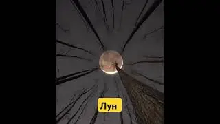 Лунный вечер