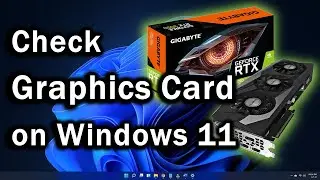 How to Check Graphics Card on Windows 11 | See What Graphics Card Do I Have?
