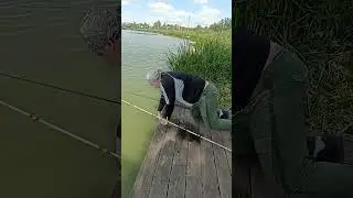 21 июня 2023 г.