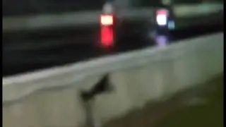 2019 Can-Am Ryker Rally 900 stock on the Orlando Speedway drag strip MSCR