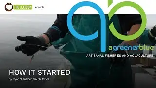 How it Started: the Story of Greenfish by Ryan Nienaber