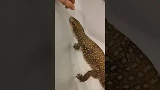 Поймал Чарли за язык