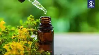 St John's Wort