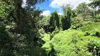 IMG 0024