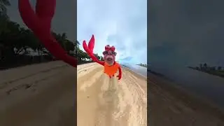 Ngakak Kocak - Bapak Bapak Lebah