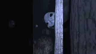 bhoot wala video ||bhoot cartoon||Part 2 ||