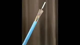 Ever Wondered What A 144 Core Fibre Optics Cable Looks Like? #Shorts