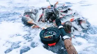 SECOND DAY OF WINTER the line is cracking from the number of bites, catching pike and perch on a ...