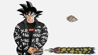 What happens if you throw a Small Pebble at a Bird who has Ultra Instinct? | Item Asylum
