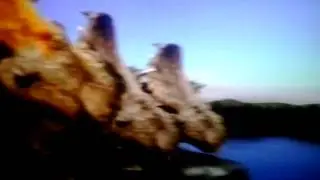 I dinosauri