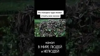 Места на Земле, куда вход навеки запрещен. ЧАСТ 1.