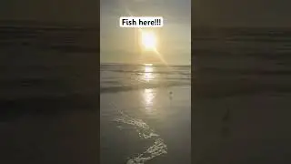 Fish congregate in areas like this! #florida #fishing #saltlife #surffishing