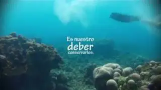 JUNI 8 DÍA MUNDIAL DE LOS OCÉANOS