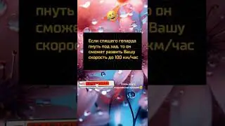 Не буди гепарда!😂 