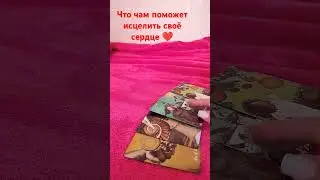 17 июня 2024 г.