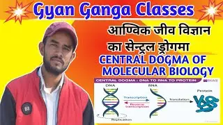 Central Dogma of molecular biology RNA and DNA and protein