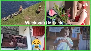 LACHEN OM HOMEVIDEO'S 🤣 - Week van de Teek 2021 #6 | VLOG