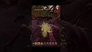 Grounded - Free Loot, thanks