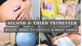 Second & Third Trimester Pregnancy Symptoms: What to Expect, Pregnancy Essentials, and Recap