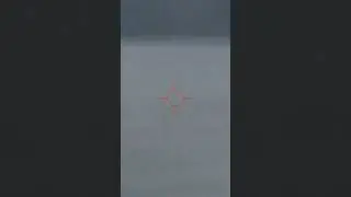 307 yard headshot Coyote 