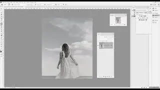 photoshop desturation duotone effects