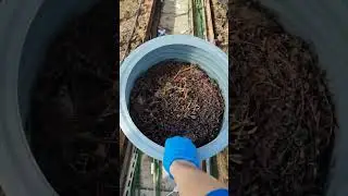 Подготовка теплицы к новому сезону 
