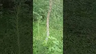 как заработать в деревне летом