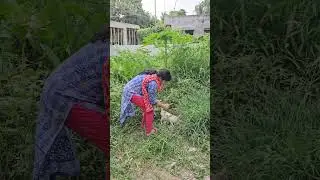 Maa Go Tomar Ashirwad Mathar Niye Rakhbo