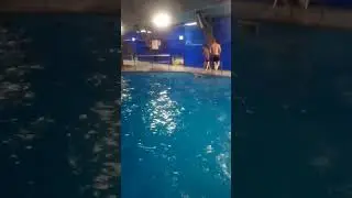 Поездка в аквапарк 21 век👍👍💪💪