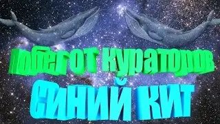 TOP 3| Побег от кураторов | Синий кит! |