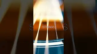 Guitar Maintenance Tips: Keep Your Instrument Playing Smoothly 🎸