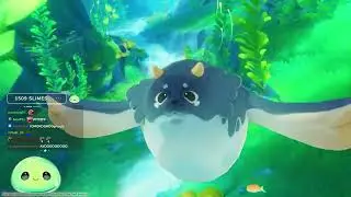 NEW FONTAINE TEASER RELEASED