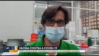 COVID-19: UFMG começa testes de vacina contra Covid-19 em macacos (15/04/2021)