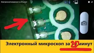 Электронный микроскоп за 20 минут