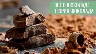 Всё о шоколаде: теория для начинающих кондитеров