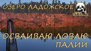 Русская рыбалка 4. Озеро Ладожское. Фарм. Спиннинг. Джиг. Техасская оснастка.