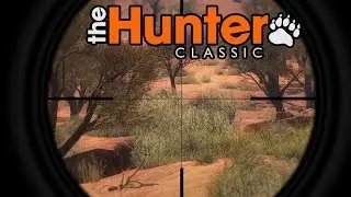 theHunter Classic - первый взгляд на игру
