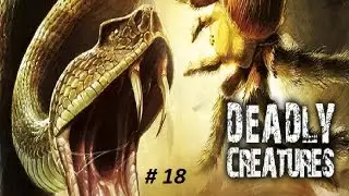 Let's Play Deadly Creatures [Deutsch] 