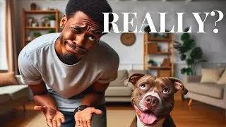 9 Things Every Pittie Parent Wishes You'd Stop Saying
