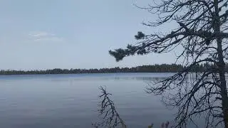 озеро Забищинское. Новгородская обл. 27 сентября 2020г.