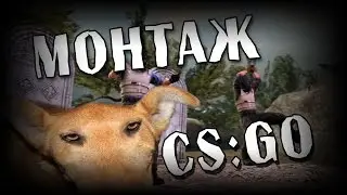 CS:GO | Игра с огнем