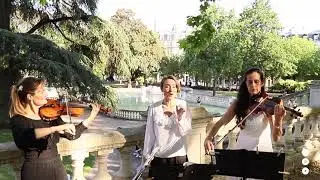 Concert Flash - Mozart, Vedrai, carino (extrait de Don Giovanni)