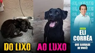 Do lixo ao luxo | Eli Corrêa Oficial |