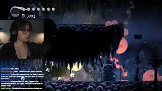 Defeating the Hive Knight and getting smashed by bees