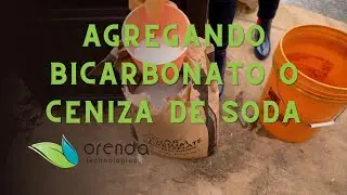 Como Agregar Bicarbonato de Sodio o Ceniza de Soda a la Piscina | Procedimientos Orenda