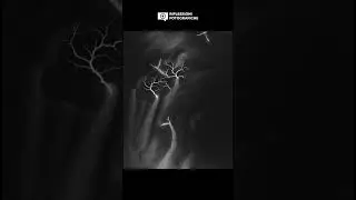 Hiroshi Sugimoto esplora i concetti di tempo, spazio e memoria