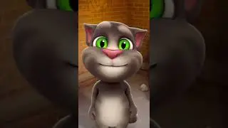 Talking Tom 🍑🧀🍆🧀🥨🍑🥨🍌🥖🍑🧈🧈🍌🍉