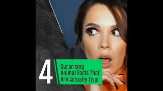 4 Surprising Animal Facts #shorts