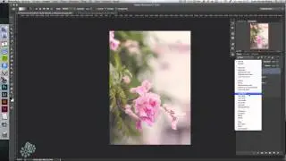 Cómo conseguir un efecto vintage pastel en Photoshop