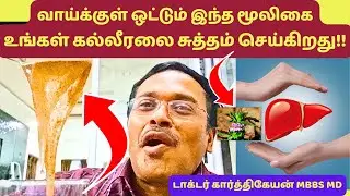 கல்லீரல் ரிப்பேர் மற்றும் 6 நன்மைகள் கொண்ட ஆச்சரிய மூலிகை இது | liver detox & 6 seed health tips